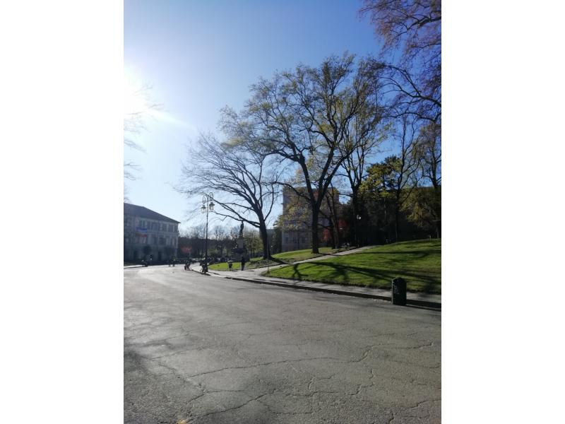 Dintorni