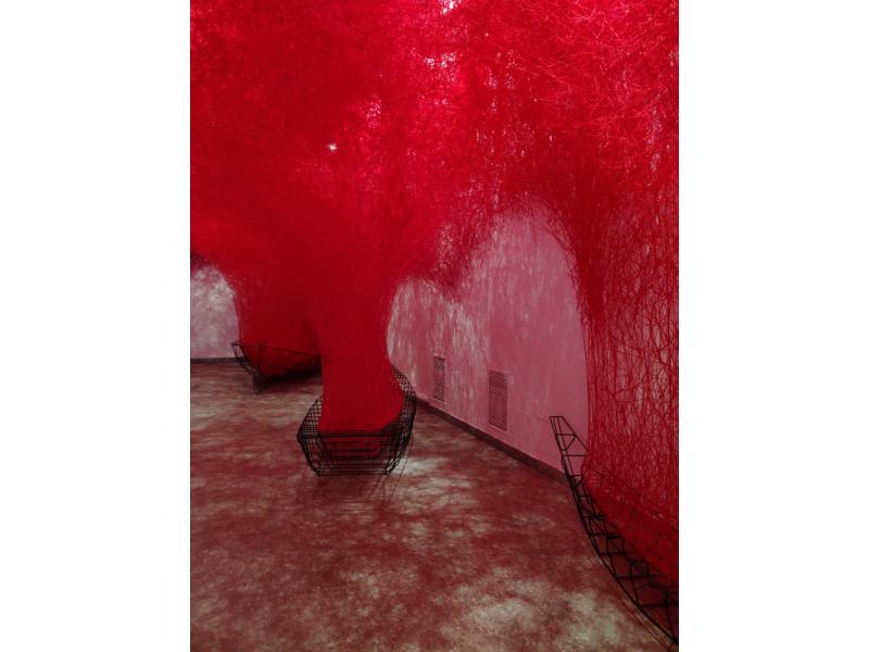 Il cuore di Shiota